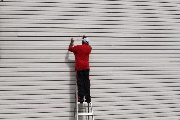 Affordable Siding Repair and Maintenance Services in Sauk Rapids, MN